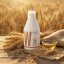 Salerm WHEAT NUTRITION vyživujúci šampón pre suché vlasy 600 ml