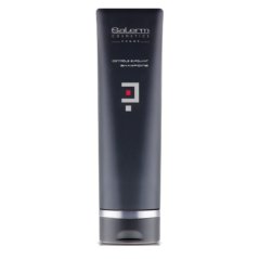 Salerm Homme šampón proti lupinám 250 ml
