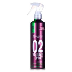 Salerm Pro.Line 02 Volume Spray pre objem 250 ml